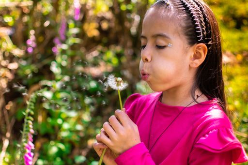 A closeup shot of Hispanic small girl playing with dandelion flower in the garden