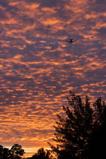A vertical shot of a magical sunset with the plane flying away