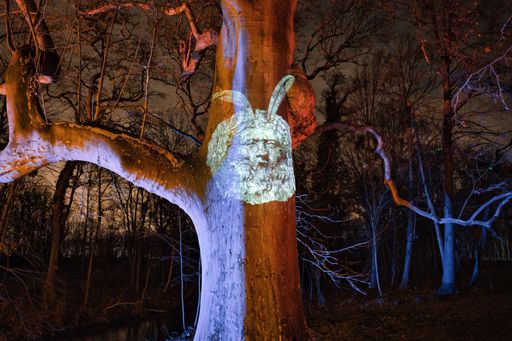 A closeup of a holographic statue head on the tree