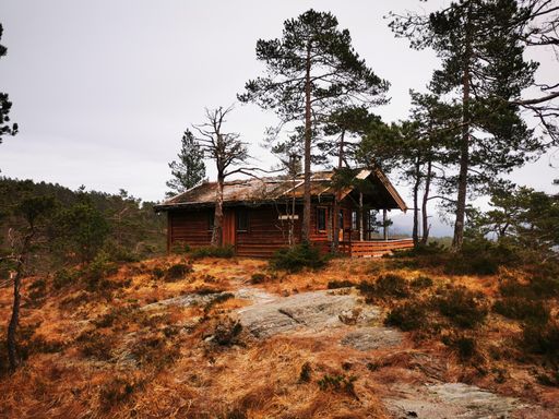 A closeup of a wooden house in a forest