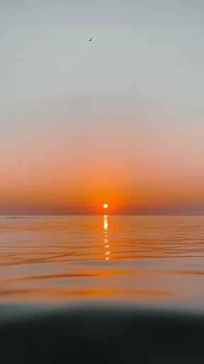 A beautiful view of a sunset over the sea