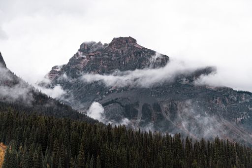 A landscape of rocky mountains covered in forests under a cloudy sky in Yoho National Park, Canada