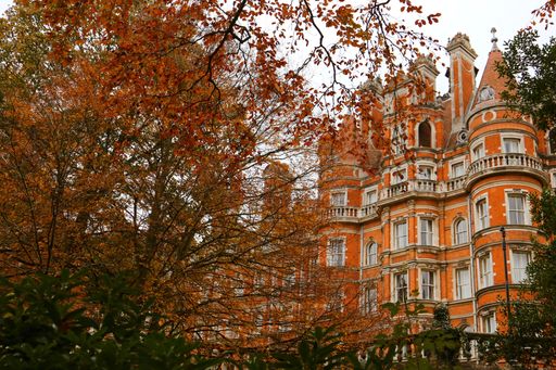 A closeup of an England campus in Autumn