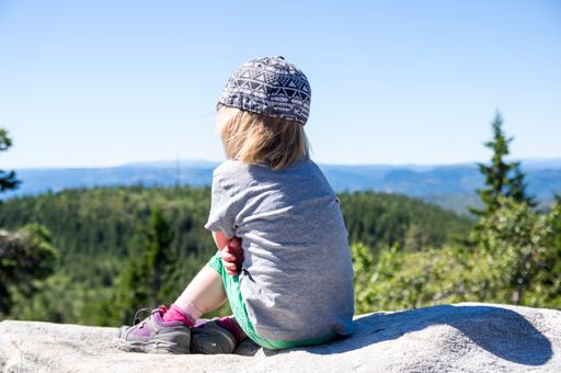 A rear view of a female kid looking over Norweigian Mountains in a far