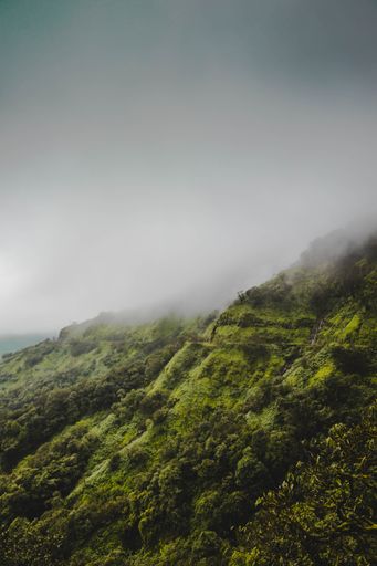 A vertical shot of hills covered in forests and fog under a cloudy sky