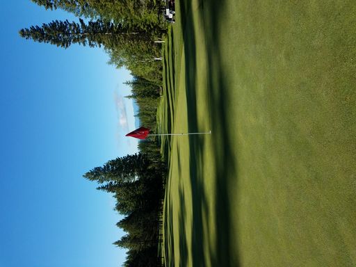 A vertical shot of a beautiful lush green golf field surrounded by tall trees on a bright summer day