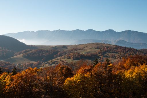 A scenic view of mountains with colorful trees under the clear sky in autumn