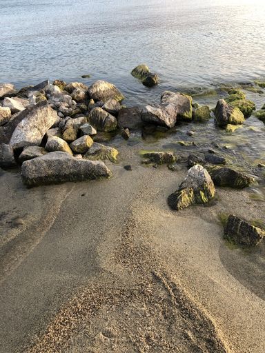 A vertical shot of several rocks on the sand in front of the water