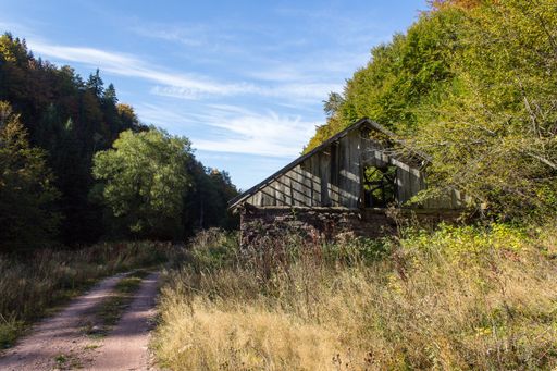 A closeup shot of an old house in the beautiful forest