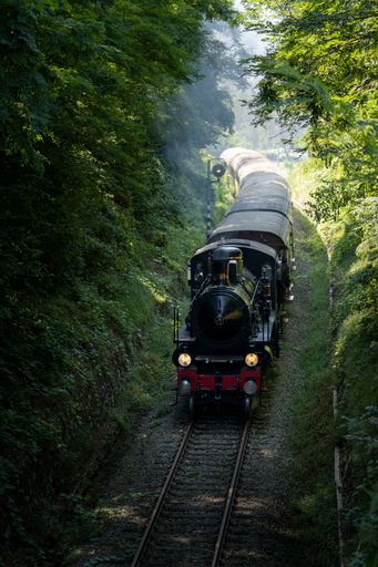 An ancient steam train passing through a shady forest