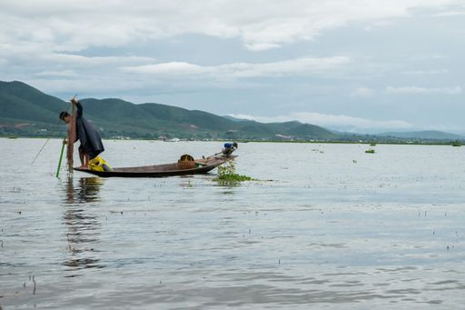 A Burmese man, at the tip of the boat or kayak, fishing with nets and steering his boat at Inle Lake, Shan Region, Myanmar, Burma, SE Asia.