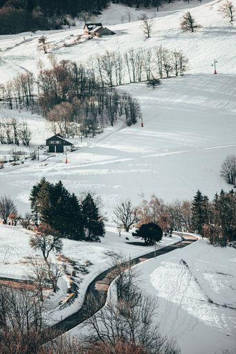 A vertical photo of ski slopes in the Swiss alps