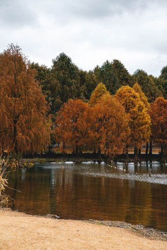 A beautiful view of a lake in a park with autumn trees