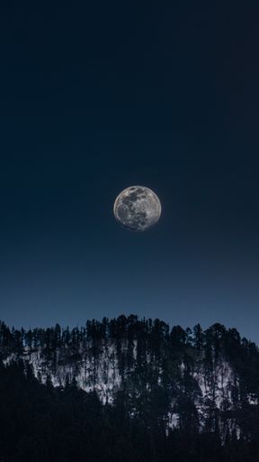 A vertical shot of the beautiful full moon rising in the mountains