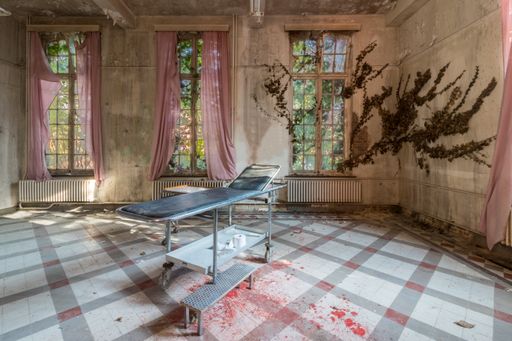 Abandoned place with a bier in the room and blood on the floor. Ivy grows to the window in the room.