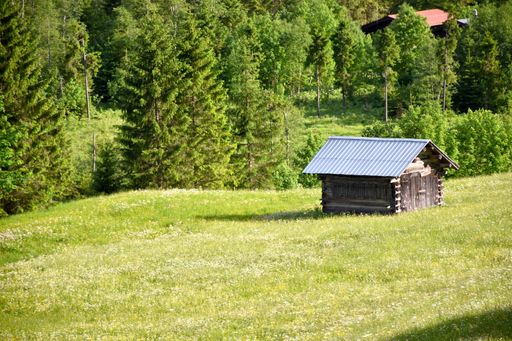 A beautiful shot of an old abandoned shed in a field on a sunny day