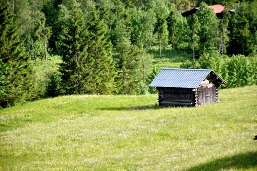 A beautiful shot of an old abandoned shed in a field on a sunny day