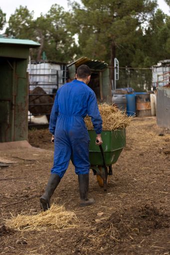 A vertical shot of a uniformed male farmer carrying hay and straw for the animals on his farm in a wheelbarrow