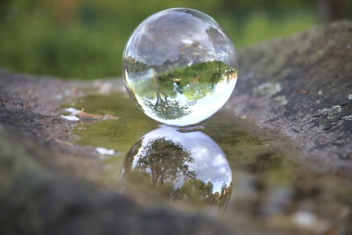 A selective focus shot of green forest in a crystal ball and its reflection on the water