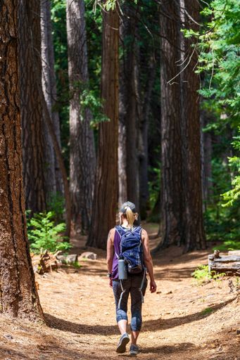 The Adult female hiking at Kings Canyon National Park in California