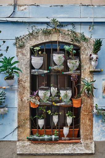 A view of plants growing in pots and bottles hanging on bars on a window outdoors