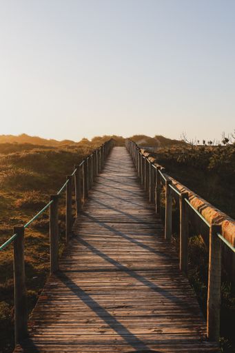 A vertical shot of a wooden trail with handrails in a green field in sunlight