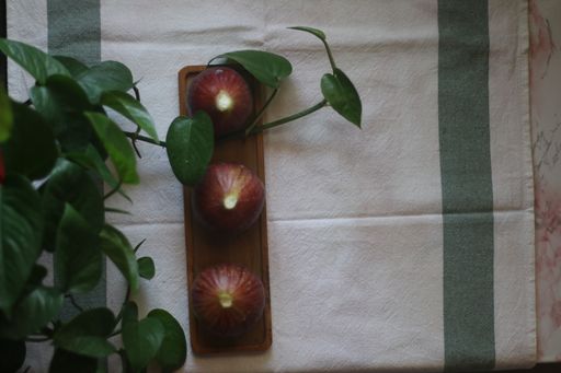 A vertical top view of aesthetic composition tree figs on a wooden board near the green plant leaves
