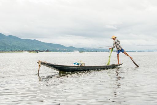Local young Burmese male fisherman wearing checked shirt, using stick and net to fish, balancing on one foot on boat, Inle Lake Myanmar, Burma