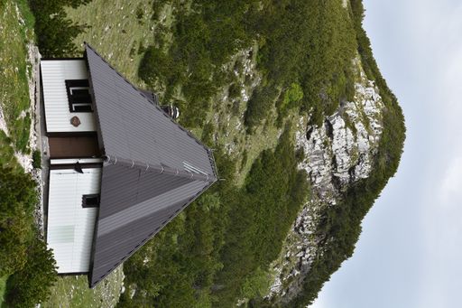 A vertical shot of a small gray house in the middle of the forest with a beautiful mountain view