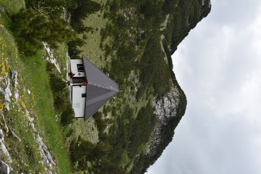 A vertical shot of a small gray house in the middle of the forest with a beautiful mountain view - great for wallpapers