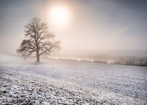 A beautiful shot of the fog in the field on a snowy day in winter