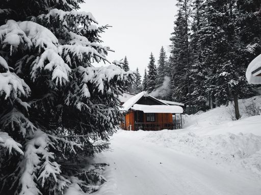 A beautiful view of wooden houses in the village surrounded by pine trees in wintertime