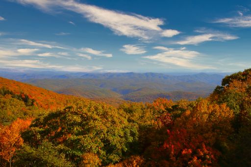 A mesmerizing view of autumn trees in Blue Ridge parkway