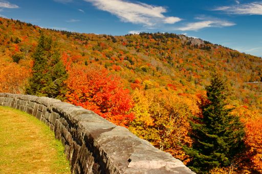 A beautiful view of concrete barricade along colorful autumn trees in Blue Ridge Parkway