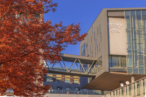 A low angle shot of a beautiful autumnal tree in front of a building under the blue sky