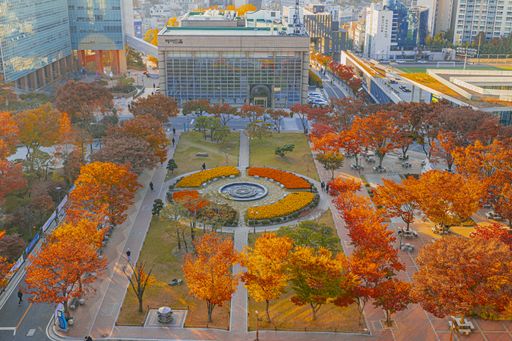 A high angle shot of a beautiful park surrounded by buildings captured in Autumn in Seoul