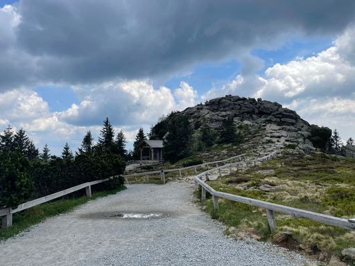 A closeup of a trail leading to a mountain