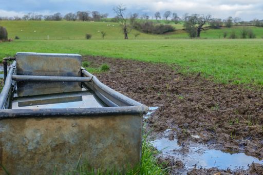 A close-up shot of water in an agricultural field in North Yorkshire.