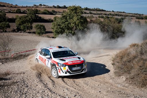 Peugeot 208 Rally 4 27 Rally Ciutat de Tarrega