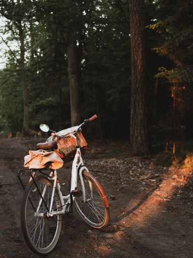 A beautiful shot of a vintage bicycle with a basket in a forest under a sunlight