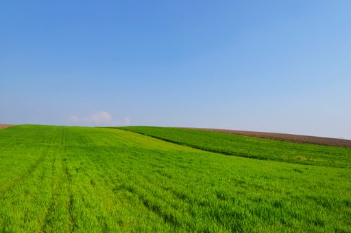 A beautiful view of a field in a daylight