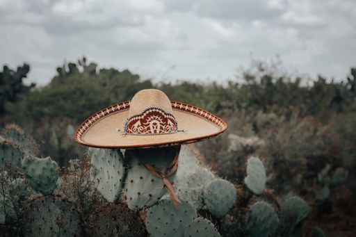A closeup shot of the beautiful and stylish Charro hat on the cactus plant in the desert