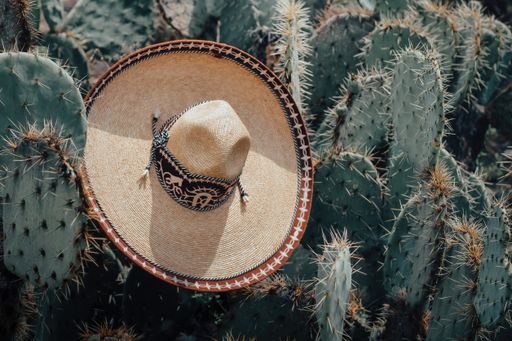 A beautiful shot of an elegant charro hat hanging on cactuses