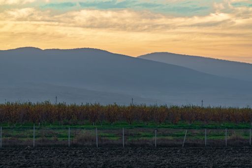 A photo of grassland and silhouettes of mountains in the sunset haze