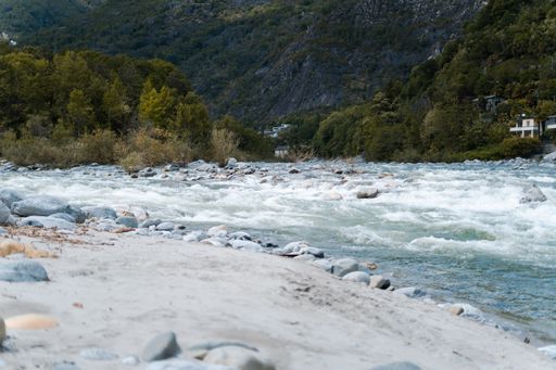 A river in the middle of a forest