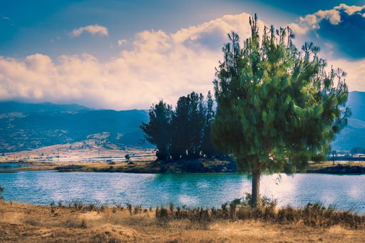 A selective focus of a beautiful river with both sides covered with trees glimmering under the sun rays