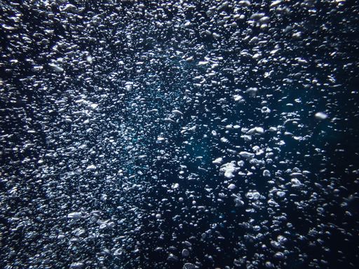 An underwater scene full of bubbles