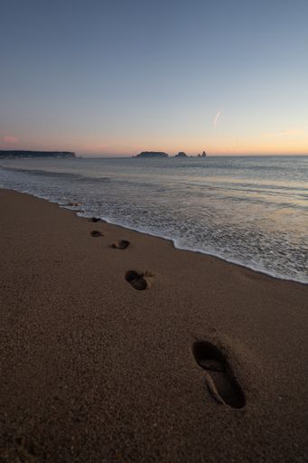 A vertical shot of footprints in the sand near seashore during sunset