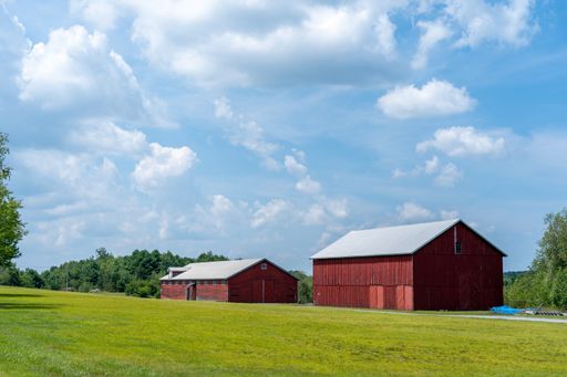 A vibrant shot of two red barns in the rolling hills of Pennsylvania surrounded by grassy fields