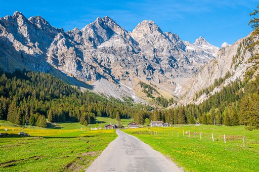 A beautiful mountainous landscape with greenery and rocky mountains in the Swiss Alps